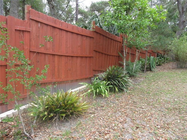 5949 SE 164th Ct, Ocklawaha, FL 32179 - gate with fence