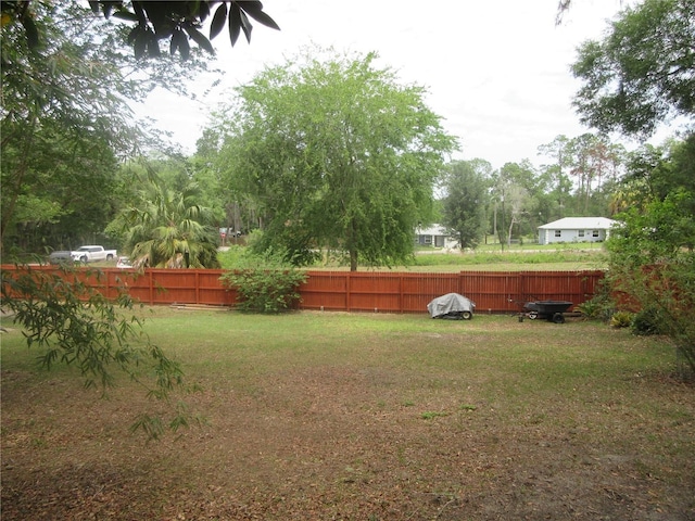 5949 SE 164th Ct, Ocklawaha, FL 32179 - view of yard