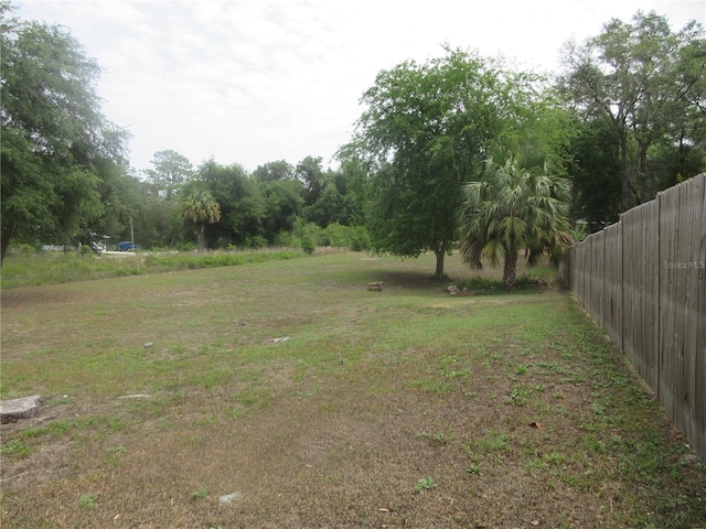 5949 SE 164th Ct, Ocklawaha, FL 32179 - view of yard