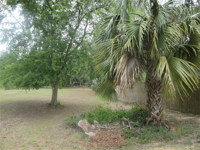 5949 SE 164th Ct, Ocklawaha, FL 32179 - view of undeveloped land