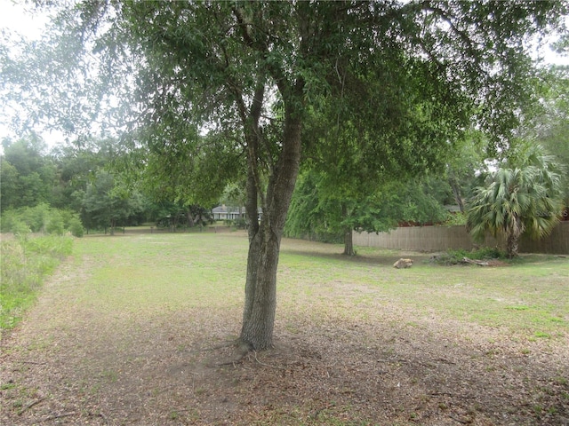 5949 SE 164th Ct, Ocklawaha, FL 32179 - view of yard