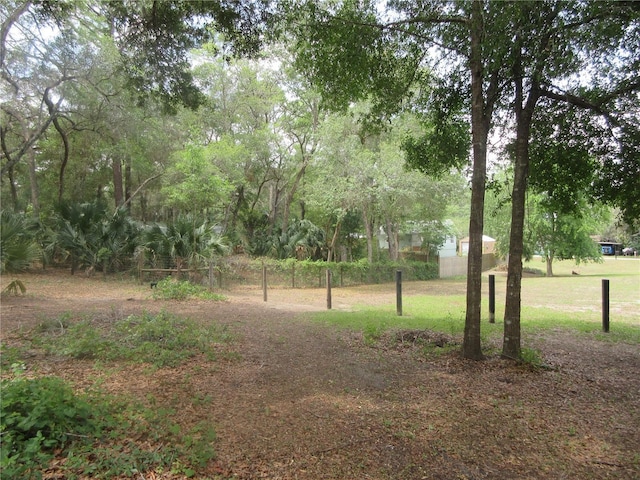 5949 SE 164th Ct, Ocklawaha, FL 32179 - view of yard