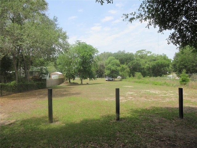 5949 SE 164th Ct, Ocklawaha, FL 32179 - view of green lawn