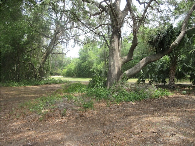 5949 SE 164th Ct, Ocklawaha, FL 32179 - view of wooded area