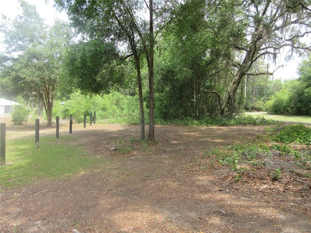 5949 SE 164th Ct, Ocklawaha, FL 32179 - view of yard