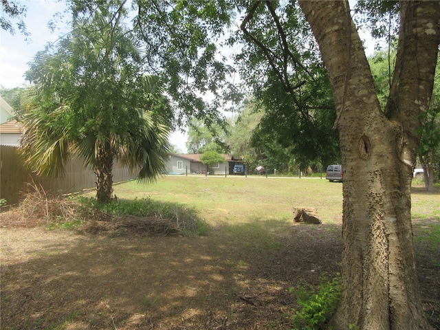 5949 SE 164th Ct, Ocklawaha, FL 32179 - view of grassy yard