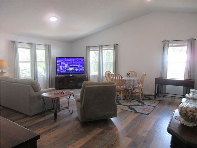 5949 SE 164th Ct, Ocklawaha, FL 32179 - living area featuring vaulted ceiling, healthy amount of natural light, and dark wood-type flooring