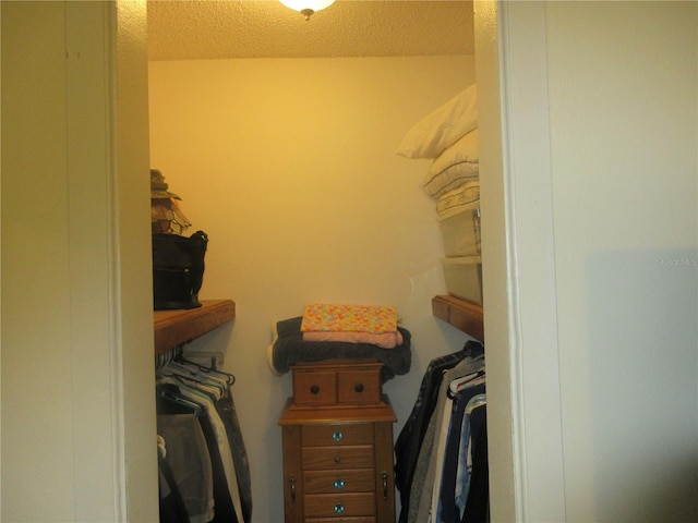 5949 SE 164th Ct, Ocklawaha, FL 32179 - view of spacious closet