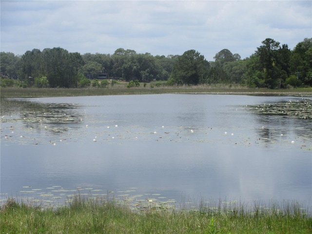 5949 SE 164th Ct, Ocklawaha, FL 32179 - water view with a heavily wooded area