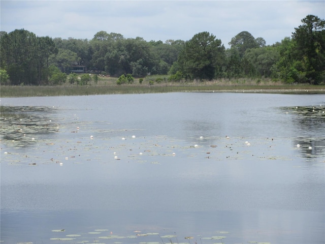 5949 SE 164th Ct, Ocklawaha, FL 32179 - water view with a forest