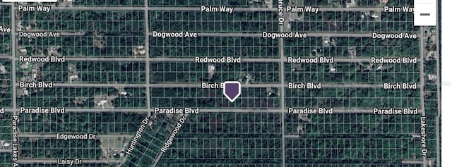 824 Paradise, Georgetown, FL 32139