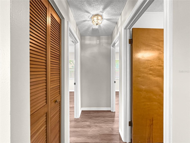 10739 SE 44th Ter, Belleview, FL 34420 - hall featuring wood finished floors, baseboards, a textured ceiling, and plenty of natural light