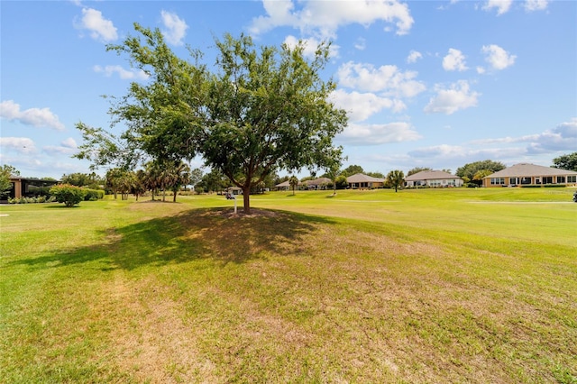 6868 SW 95th Cir, Ocala, FL 34481 - view of green lawn featuring a residential view and view of golf course