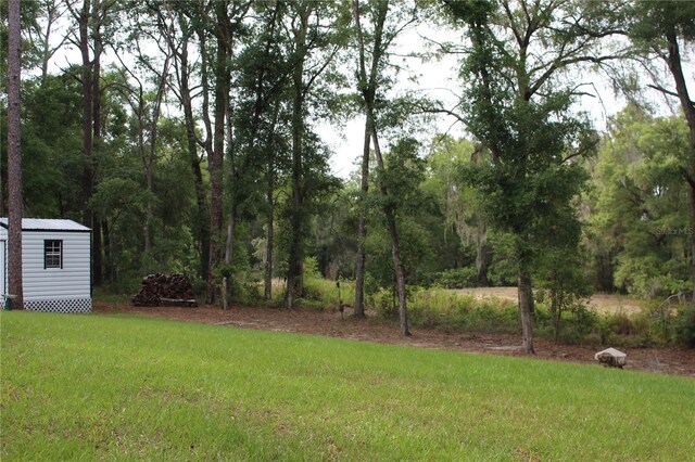 10151 N Athenia Dr, Citrus Springs, FL 34434 - photo 8