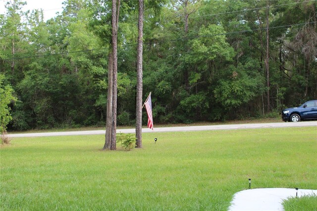 10151 N Athenia Dr, Citrus Springs, FL 34434 - photo 24