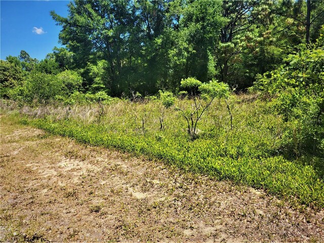 5089 N Tanglewood Ave, Hernando, FL 34442