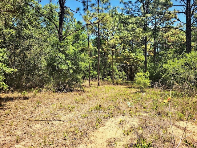 5089 N Tanglewood Ave, Hernando, FL 34442