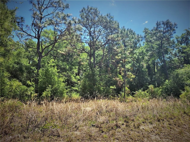 5089 N Tanglewood Ave, Hernando, FL 34442