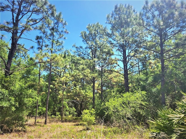 5089 N Tanglewood Ave, Hernando, FL 34442
