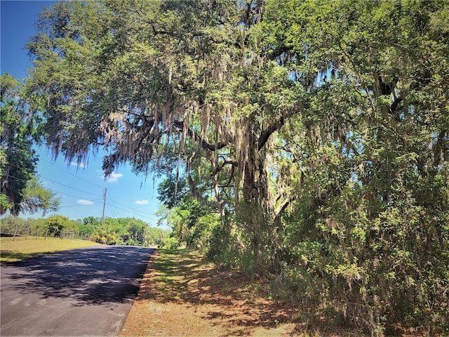 5089 N Tanglewood Ave, Hernando, FL 34442