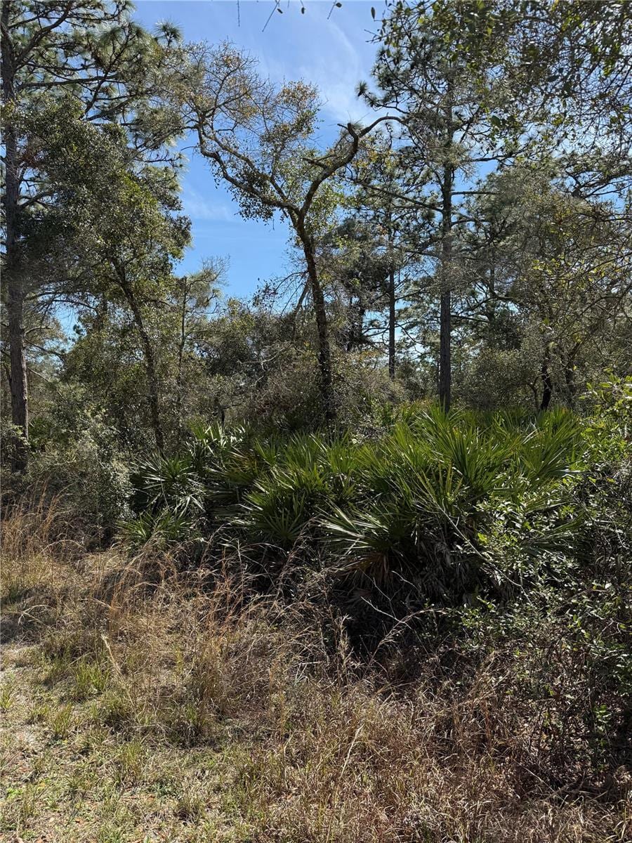 Tamarac St, Eustis, FL 32736