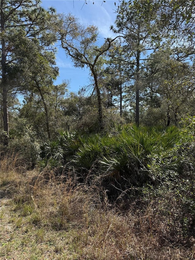 Tamarac St, Eustis, FL 32736