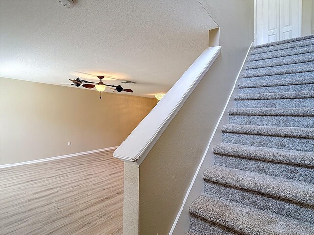 4510 Limerick Dr, Tampa, FL 33610 - photo 37