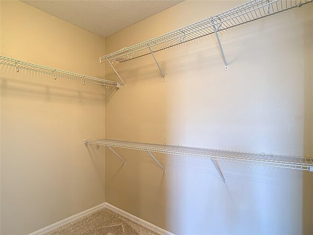 4510 Limerick Dr, Tampa, FL 33610 - photo 47