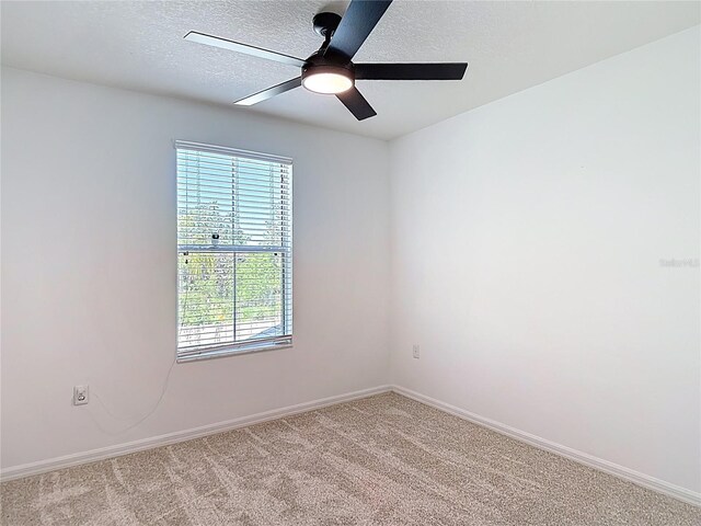 4510 Limerick Dr, Tampa, FL 33610 - photo 48