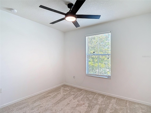 4510 Limerick Dr, Tampa, FL 33610 - photo 51