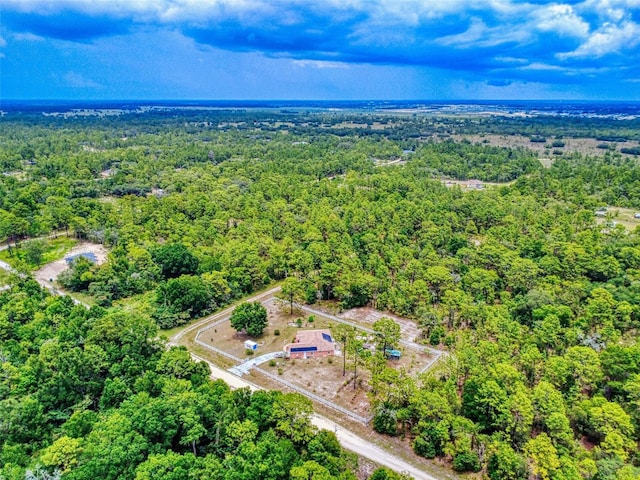 9325 SW 125th Court Rd, Dunnellon, FL 34432 - bird's eye view of a forest