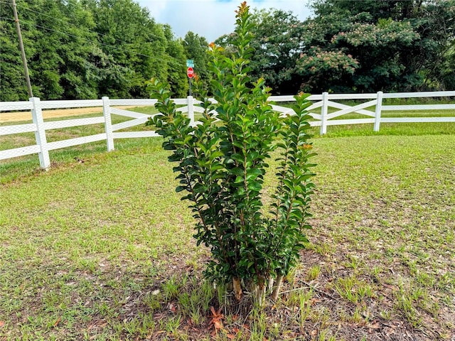 9325 SW 125th Court Rd, Dunnellon, FL 34432 - view of yard
