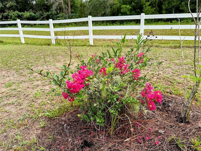 9325 SW 125th Court Rd, Dunnellon, FL 34432 - view of yard