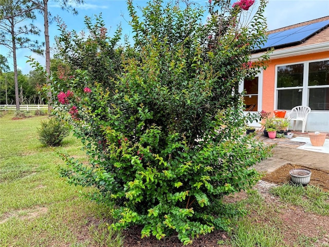 9325 SW 125th Court Rd, Dunnellon, FL 34432 - view of yard