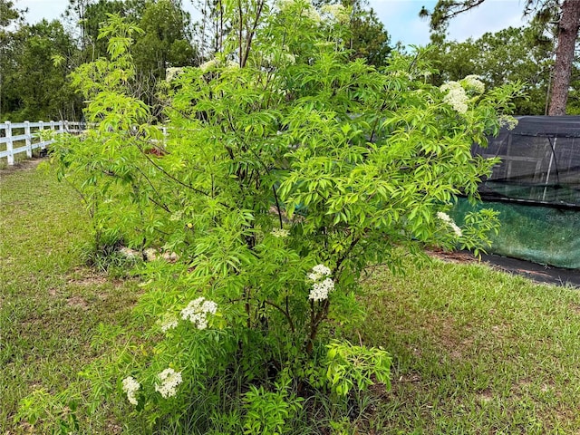 9325 SW 125th Court Rd, Dunnellon, FL 34432 - view of yard