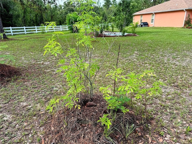 9325 SW 125th Court Rd, Dunnellon, FL 34432 - view of yard featuring a vegetable garden