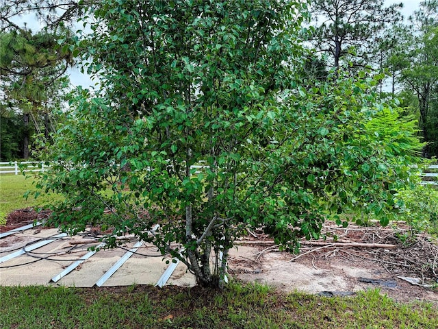 9325 SW 125th Court Rd, Dunnellon, FL 34432 - view of yard