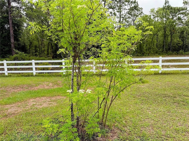 9325 SW 125th Court Rd, Dunnellon, FL 34432 - view of yard
