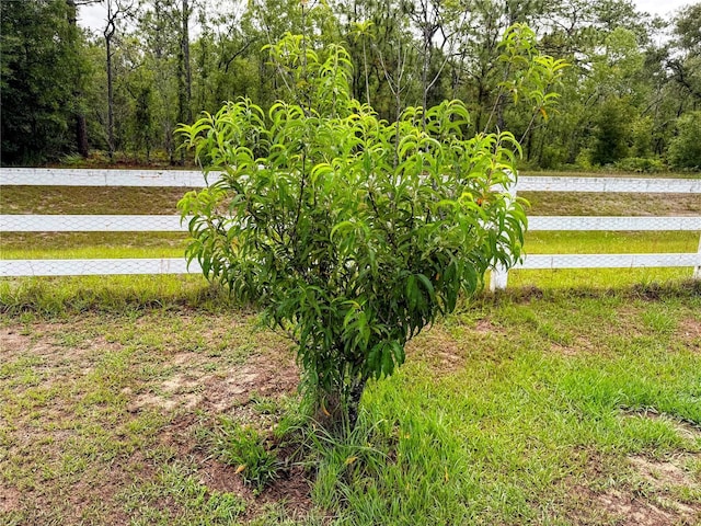 9325 SW 125th Court Rd, Dunnellon, FL 34432 - view of yard featuring a view of trees