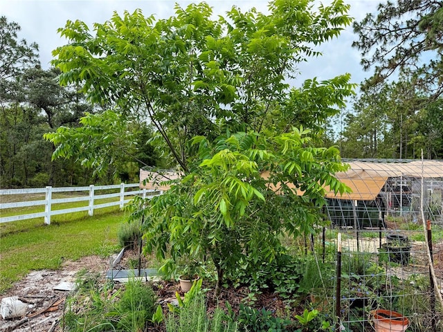 9325 SW 125th Court Rd, Dunnellon, FL 34432 - view of yard