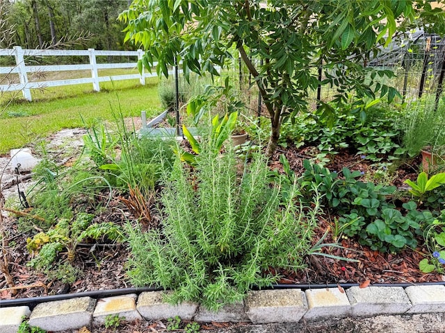 9325 SW 125th Court Rd, Dunnellon, FL 34432 - view of yard