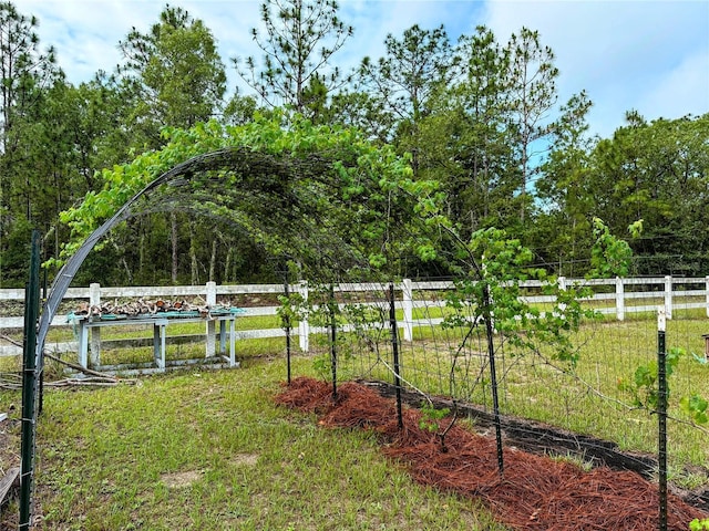 9325 SW 125th Court Rd, Dunnellon, FL 34432 - view of yard