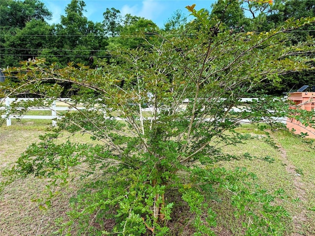9325 SW 125th Court Rd, Dunnellon, FL 34432 - view of local wilderness