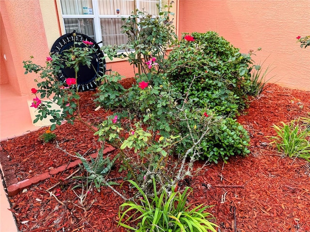9325 SW 125th Court Rd, Dunnellon, FL 34432 - exterior view of stucco siding
