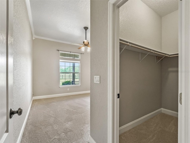 2540 NE 120th St, Anthony, FL 32617 - walk in closet featuring carpet and ceiling fan