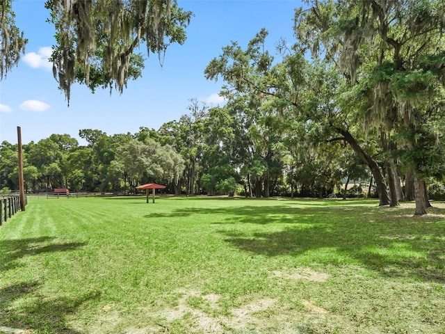 2540 NE 120th St, Anthony, FL 32617 - view of yard
