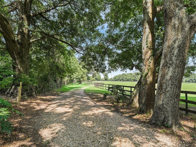 2540 NE 120th St, Anthony, FL 32617 - view of property's community with fence