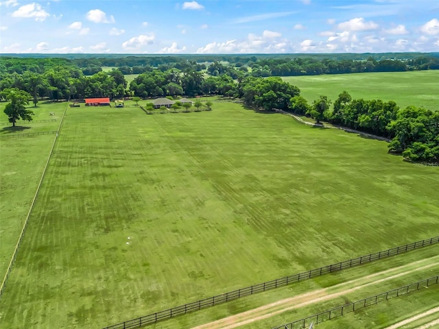 2540 NE 120th St, Anthony, FL 32617 - view of rural area with agricultural land and a tree filled landscape