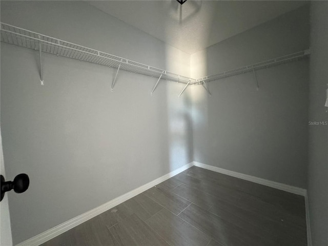walk in closet with dark wood-style flooring