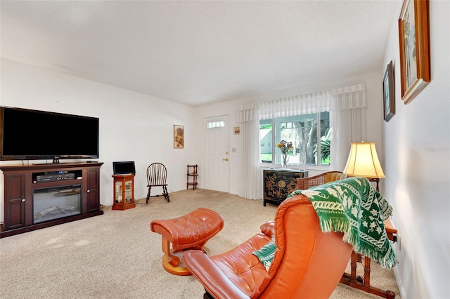 view of carpeted living area